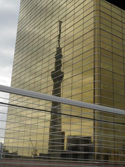 ビルの窓に映る東京スカイツリー