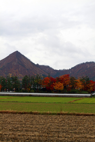 三吉山の紅葉