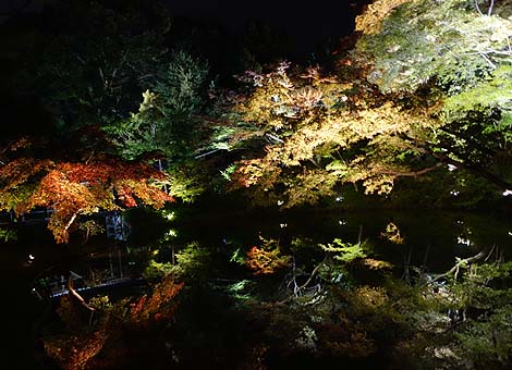 スルッとKANSAI 3day お寺夜景とまだまだ行列の京都（2013年秋）後編