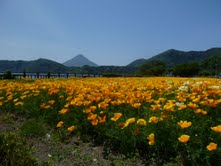 kagoshima2.jpg