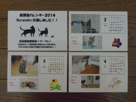 保護猫カレンダー039