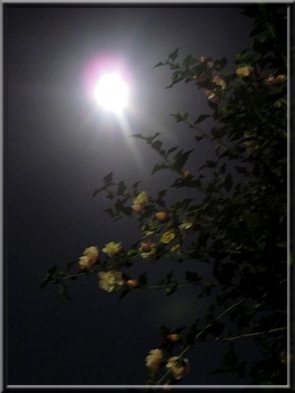 2013 09 19 moon1