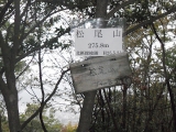 20131104arashiyama (3)