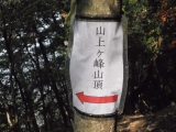 20131104arashiyama (36)