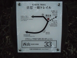 nishiyama33.jpg