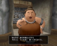 dq1 (12)
