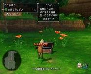dq2 (8)
