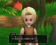 dq2 (17)