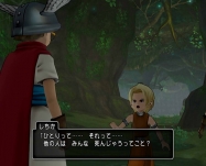 dq2 (41)