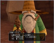 DQ8 (8)