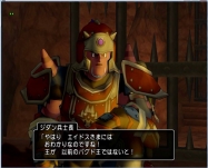 DQ8 (7)