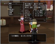 DQ8 (15)