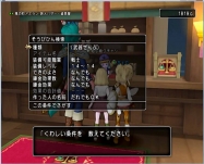 DQ8 (21)