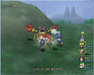 DQ8 (25)