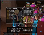 DQ8 (31)