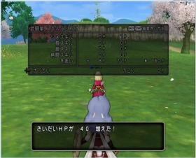 DQ8 (33)