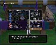DQ8 (46)