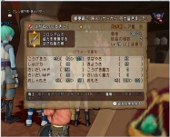 DQ8 (48)