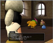 DQ8 (63)