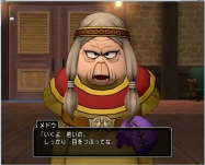DQ8 (64)