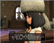 DQ8 (71)