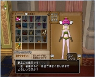 DQ9 (10)