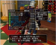DQ9 (22)