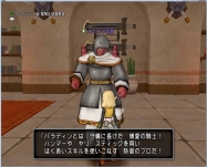 DQ9 (33)