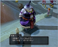 DQ9 (31)