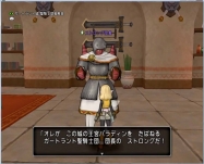 DQ9 (32)