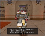 DQ9 (35)