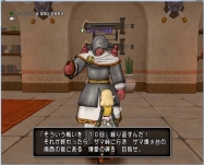 DQ9 (36)