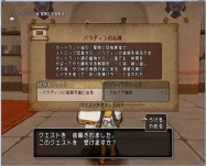 DQ9 (37)