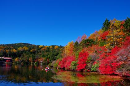 白駒の池の紅葉