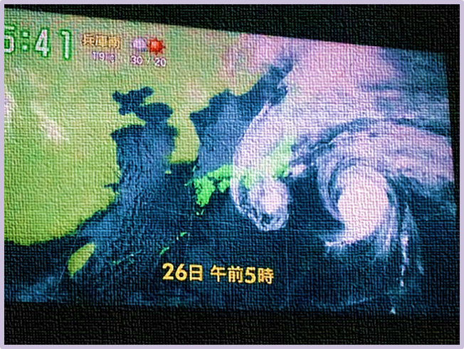 typhoon.png
