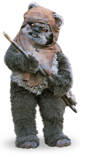 wicket_detail.png